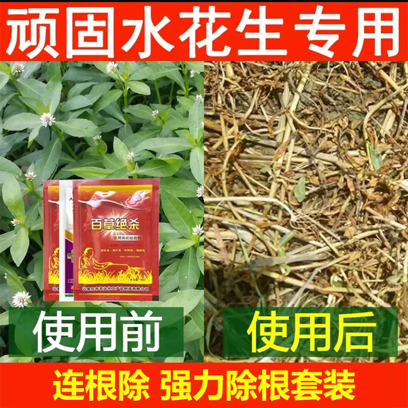 除水花生除草剂顽固水花生革命草连根除强力有机硅增效渗透强农用