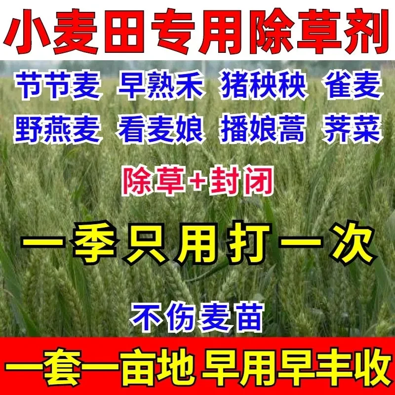 小麦除草剂小麦苗后除草剂不伤小麦田杂草克星杂草连根死正品批发