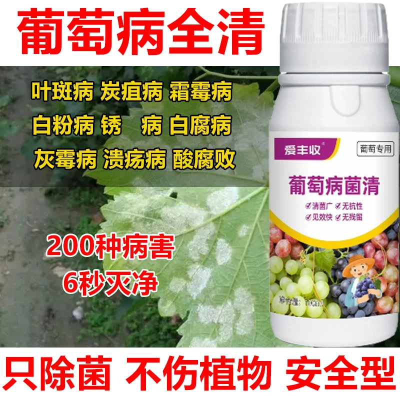 葡萄杀菌剂葡萄病全治葡萄病菌清微生物肥料锈病白粉病炭疽病全治