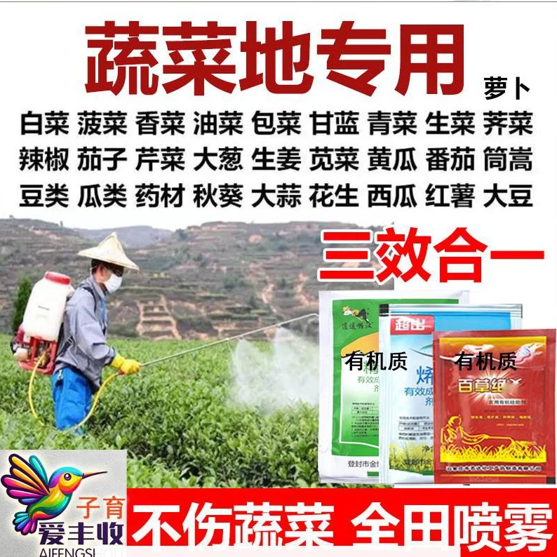 【蔬菜 豆类】一套半亩地 有机肥有机肥正有机肥料