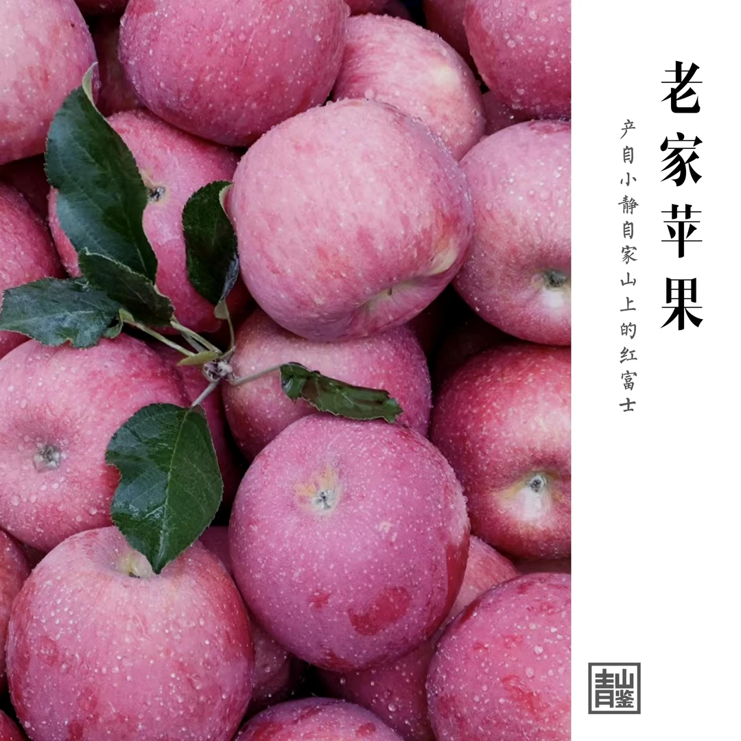 《老家苹果》10斤一箱“小静静自家苹果” | 青山鉴茶「零食」