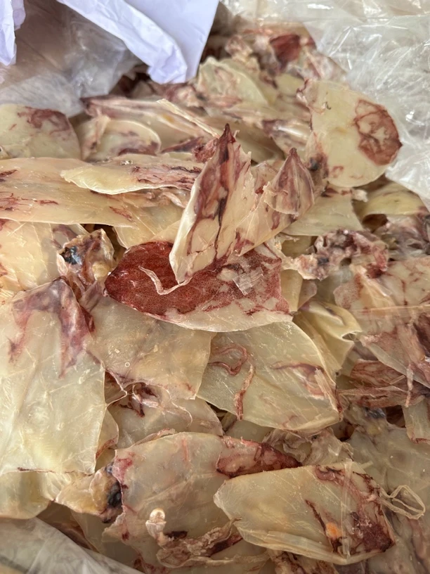 【联合-】自晒惠来神泉港 鱿鱼干 1 斤装  日晒风干