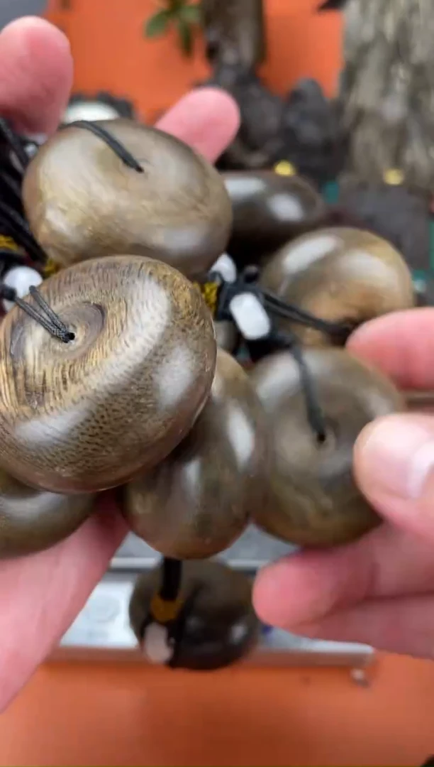 【闪购商品】香木莺歌绿棋平安扣面包圈