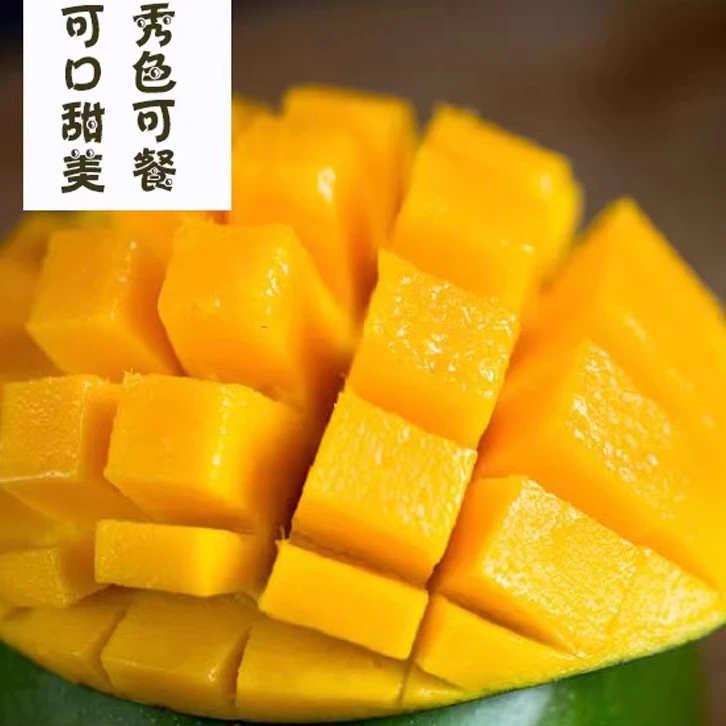 广西百色精品金煌芒青皮芒生熟两吃新鲜香甜多汁