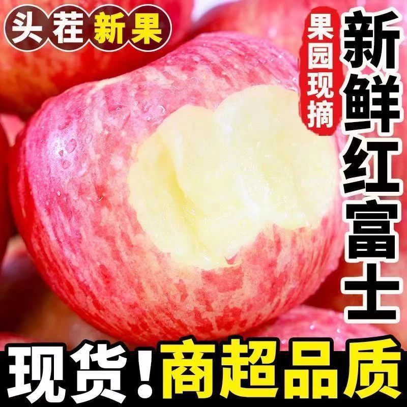 陕西正宗红富士自家果园当季整箱包邮现摘现发脆甜红富士苹果