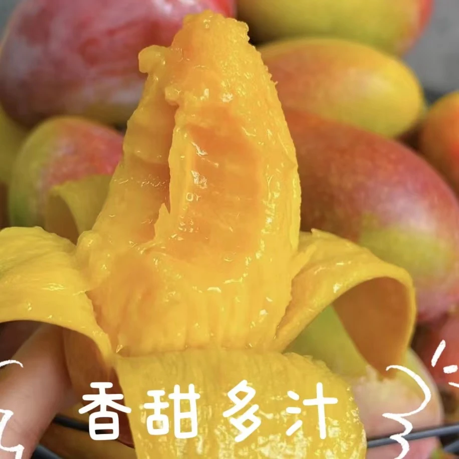 广西百色新鲜贵妃芒 小贵妃香甜多汁5斤装