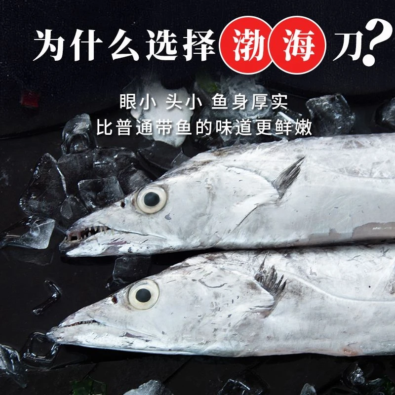 渤海湾刀鱼海捕 冻发 3-10规格自选(顺丰冷链包邮)新鲜冷冻