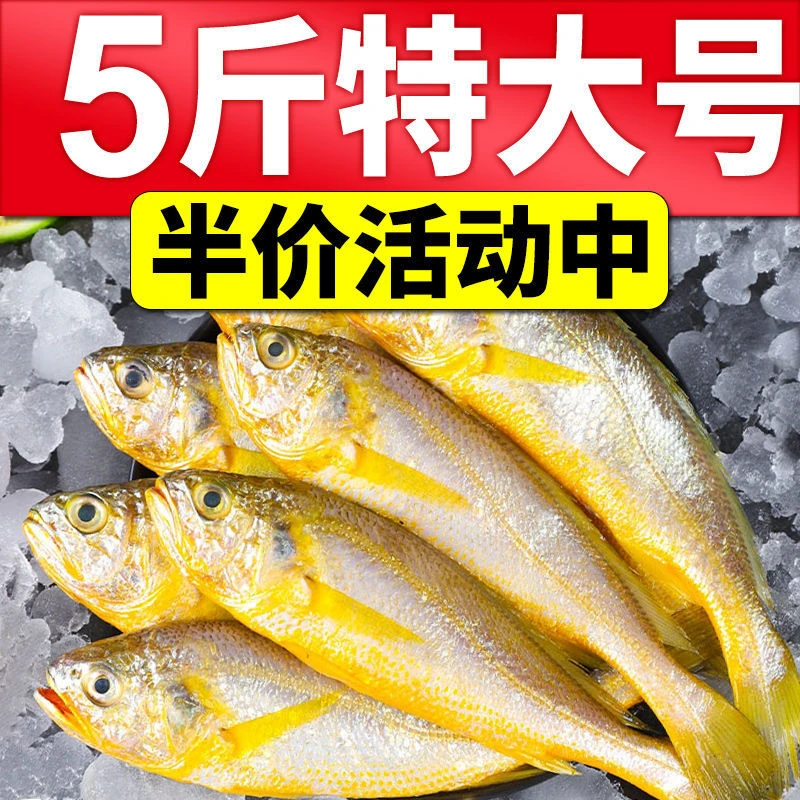 【特大号小黄花鱼】新鲜小黄鱼野生海捕冷冻深海鱼海鲜水产包冰5斤