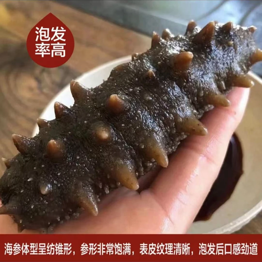 顶火半干拉缸盐海参40-60头