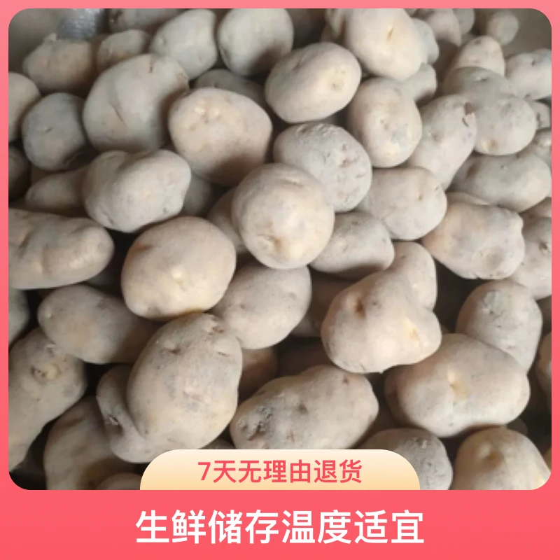 恩施富硒高山黄心土豆