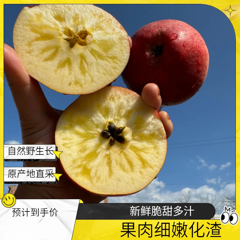 云南昭通丑苹果冰糖心新鲜脆甜多汁孕妇当季红富士整箱包邮5-10斤