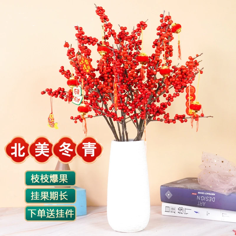 北美冬青红果鲜切枝水培鲜切花室内水养绿植年宵花卉鲜花盆栽植物