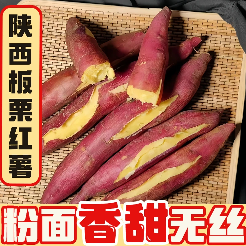 24新鲜陕西正宗板栗红薯现挖粉面甘甜烤地瓜黄心番薯秦薯5号