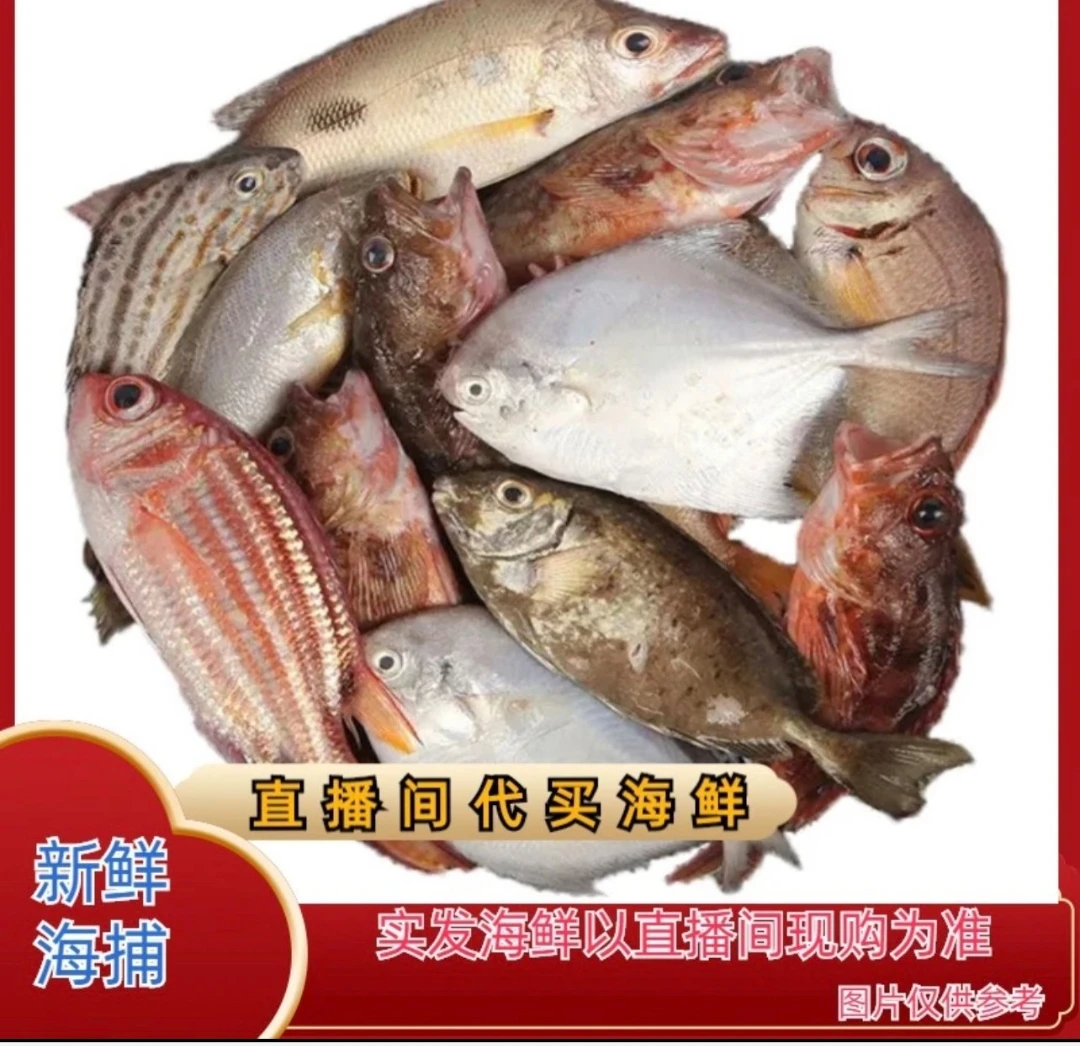 广东阳江海陵岛海鲜代购