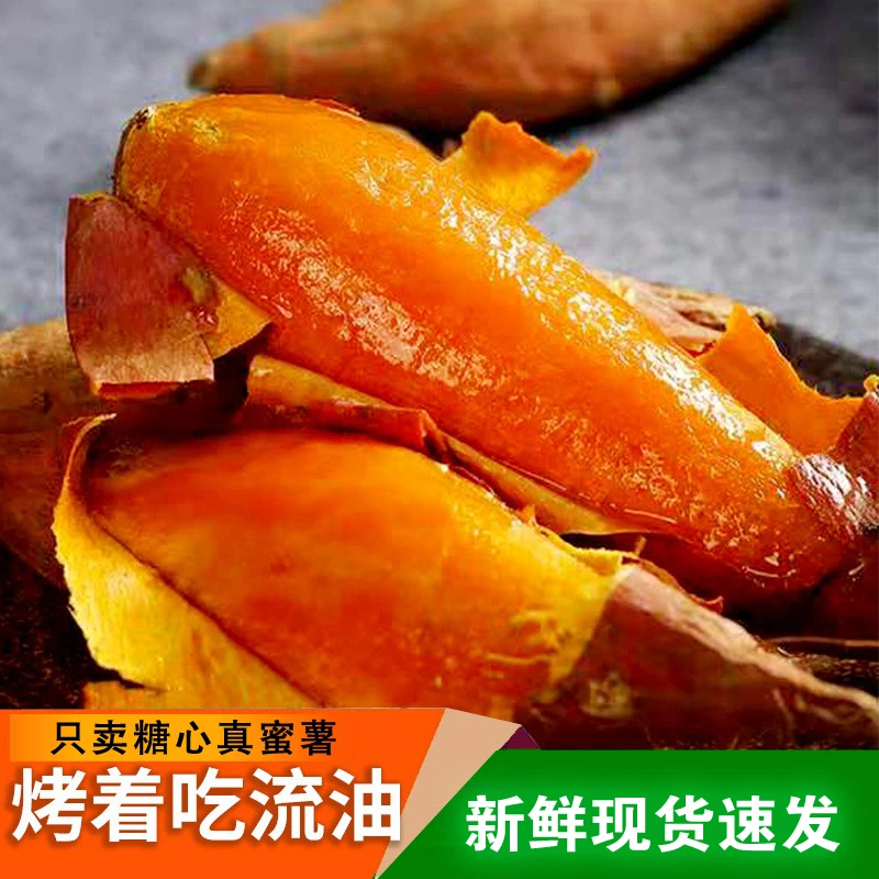 D【烟薯25蜜薯】地瓜24年新鲜现挖沙地糖心红薯原产地直供农家自种
