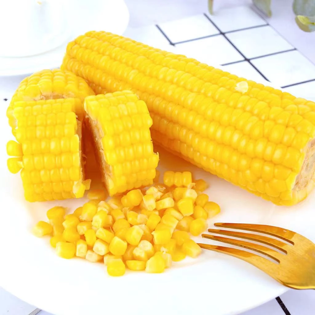 2023年东北黄金糯玉米 拍8送2直播间发10根 整箱5斤