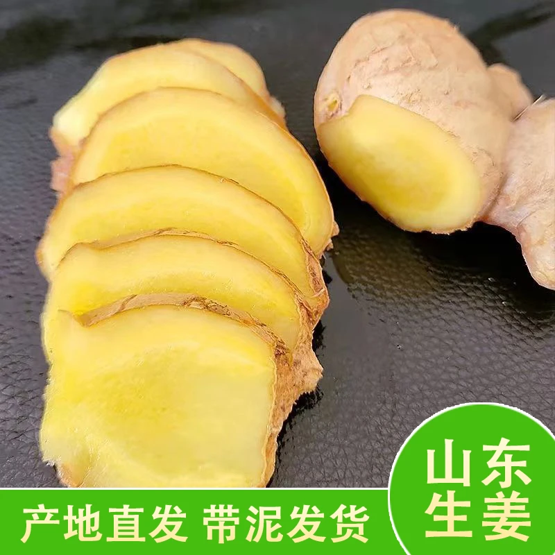 山东大姜1/3/5斤产地直发出口级品质浓郁新鲜大黄姜山东大姜老姜