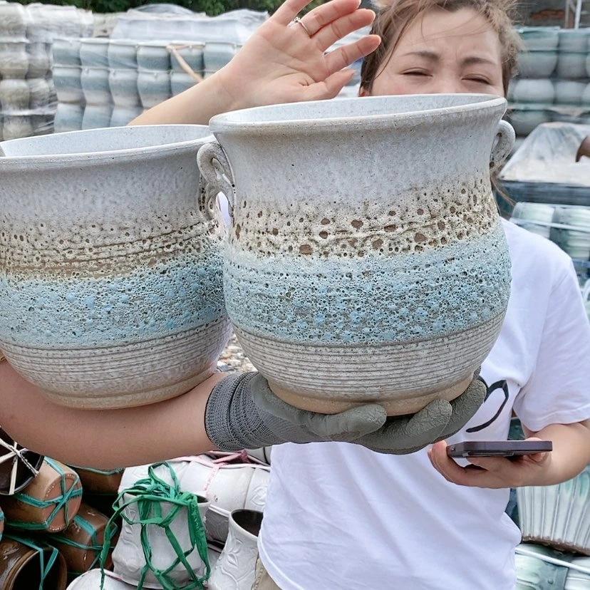 【闪购商品】胡蜜蜂