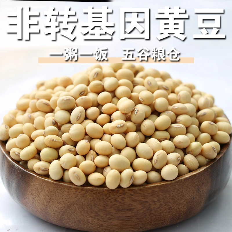 【呆呆菇娘】2斤非转基因黄豆农家老品种黄豆生黄豆粒豆浆原材料