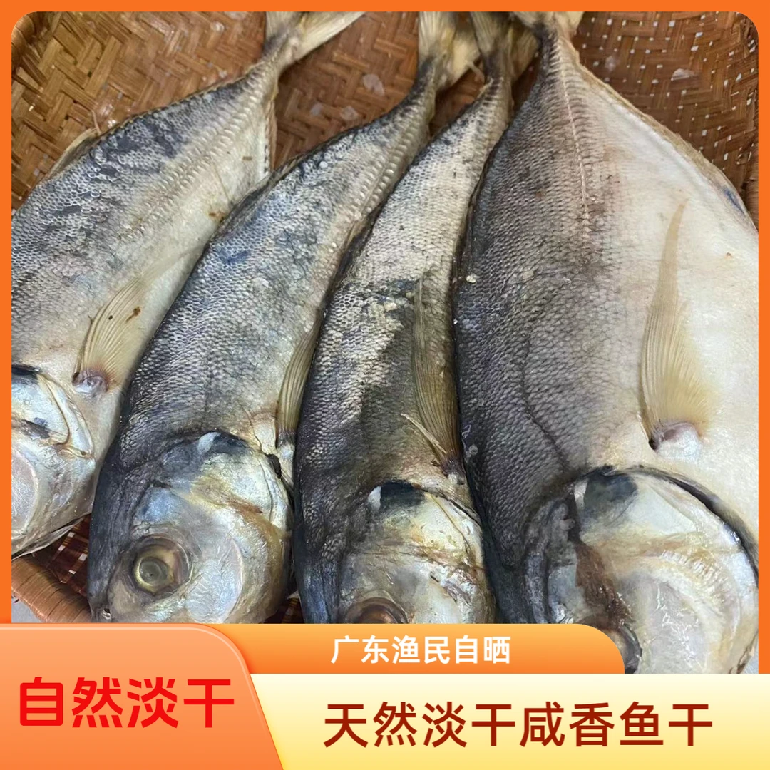 广东特产 渔民自晒淡干大巴浪鱼干 黄尾巴浪鱼干咸香香煎焖肉下饭