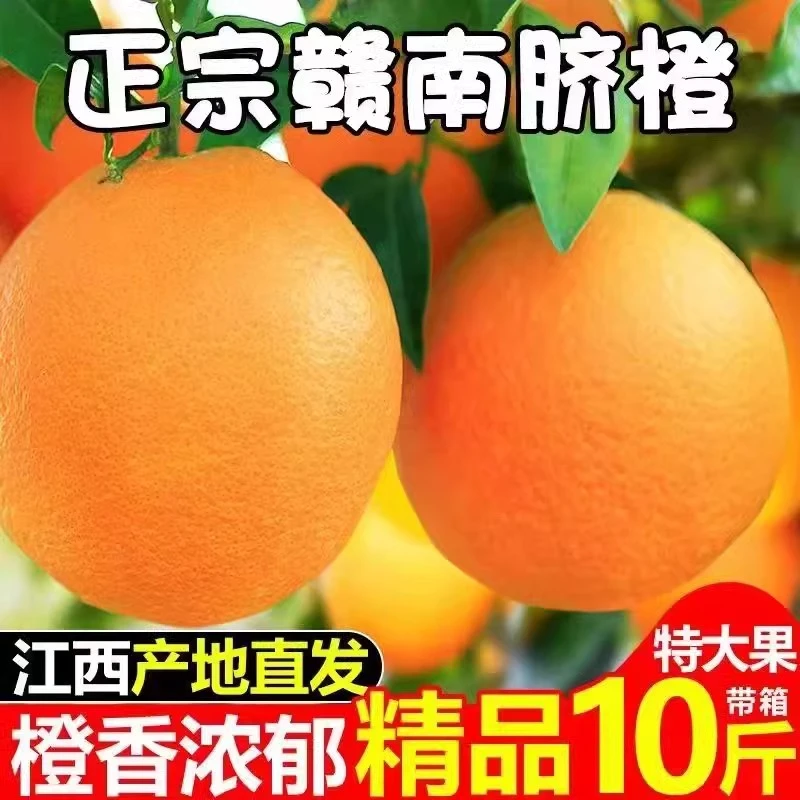 江西赣州发货正宗信丰橙子赣南脐橙10斤装20斤装九省包邮孕妇水果