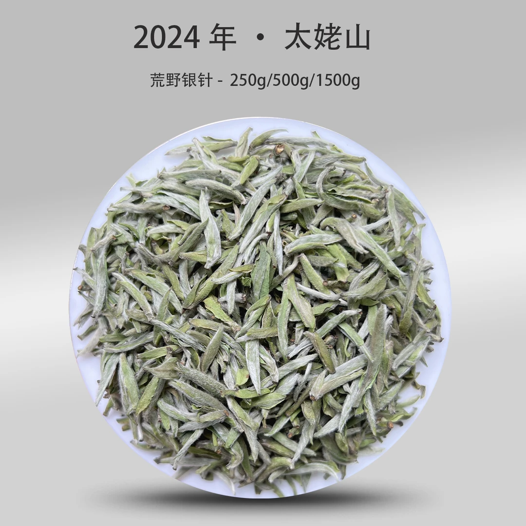 2024年·荒野银针大毫茶大师制