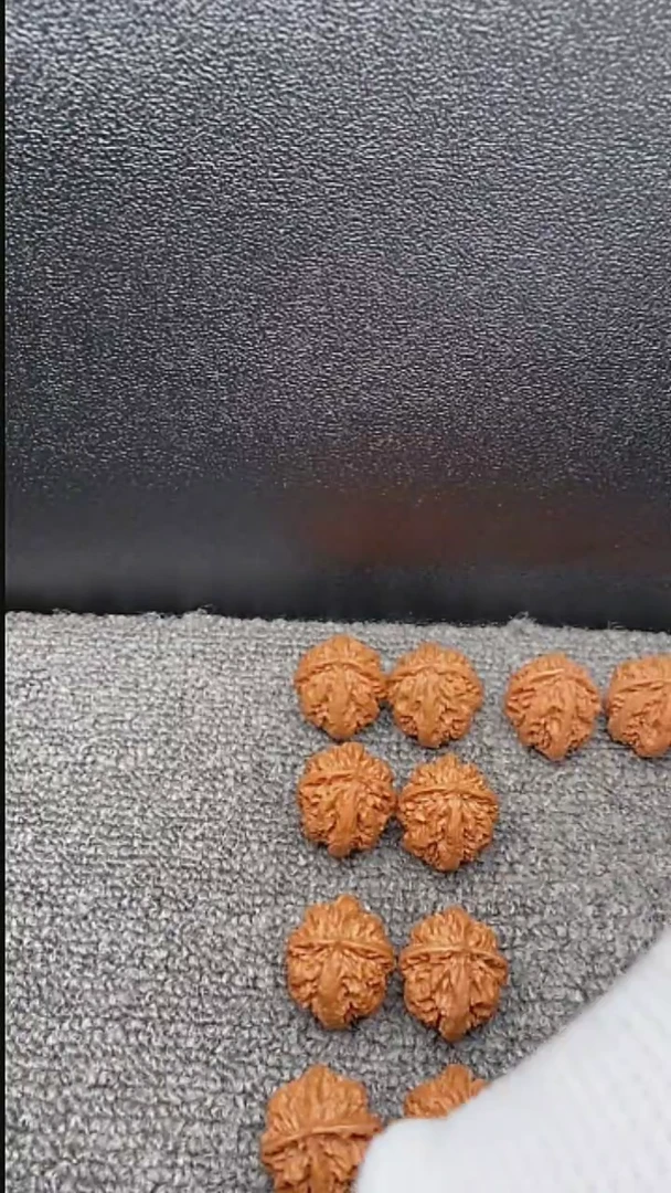 【闪购商品】文玩核桃把件秋子暴龙八棱