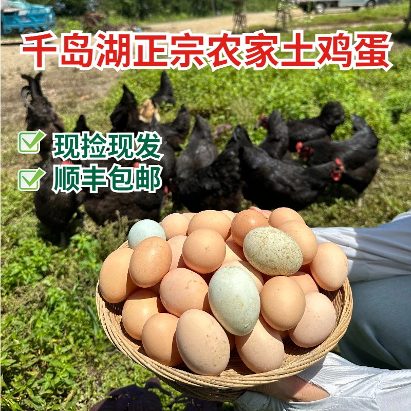 正宗千岛湖高山散养农家土鸡蛋农家散养顺丰包邮新鲜现捡现发