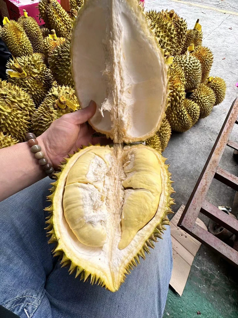 ［同城配送］金枕头榴莲一个