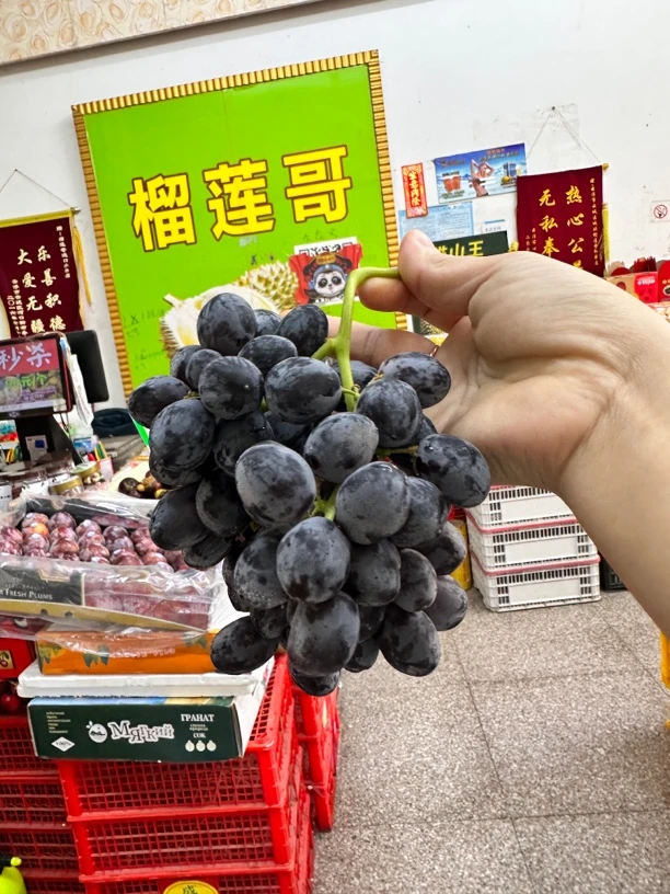 黑加仑2斤