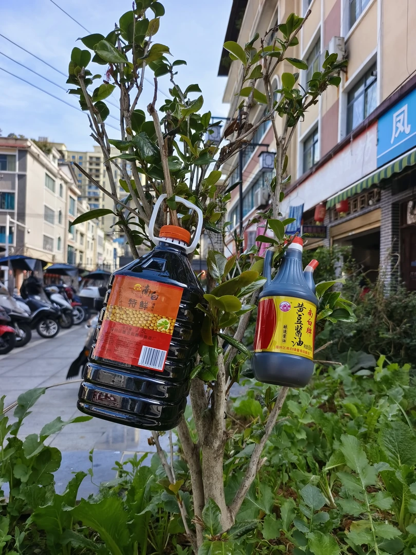正宗贵州遵义特产美味南白酱油