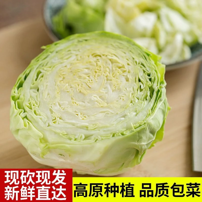 贵州高山农家生态种植包菜莲花白