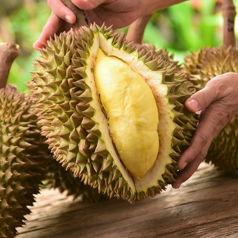 【顺丰冷链 生劈不赔】泰国新鲜金枕榴莲2-4斤进口高品质干包黄肉