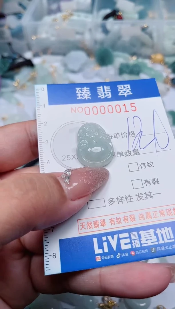 【闪购商品】翡翠颈饰未镶嵌.0000015