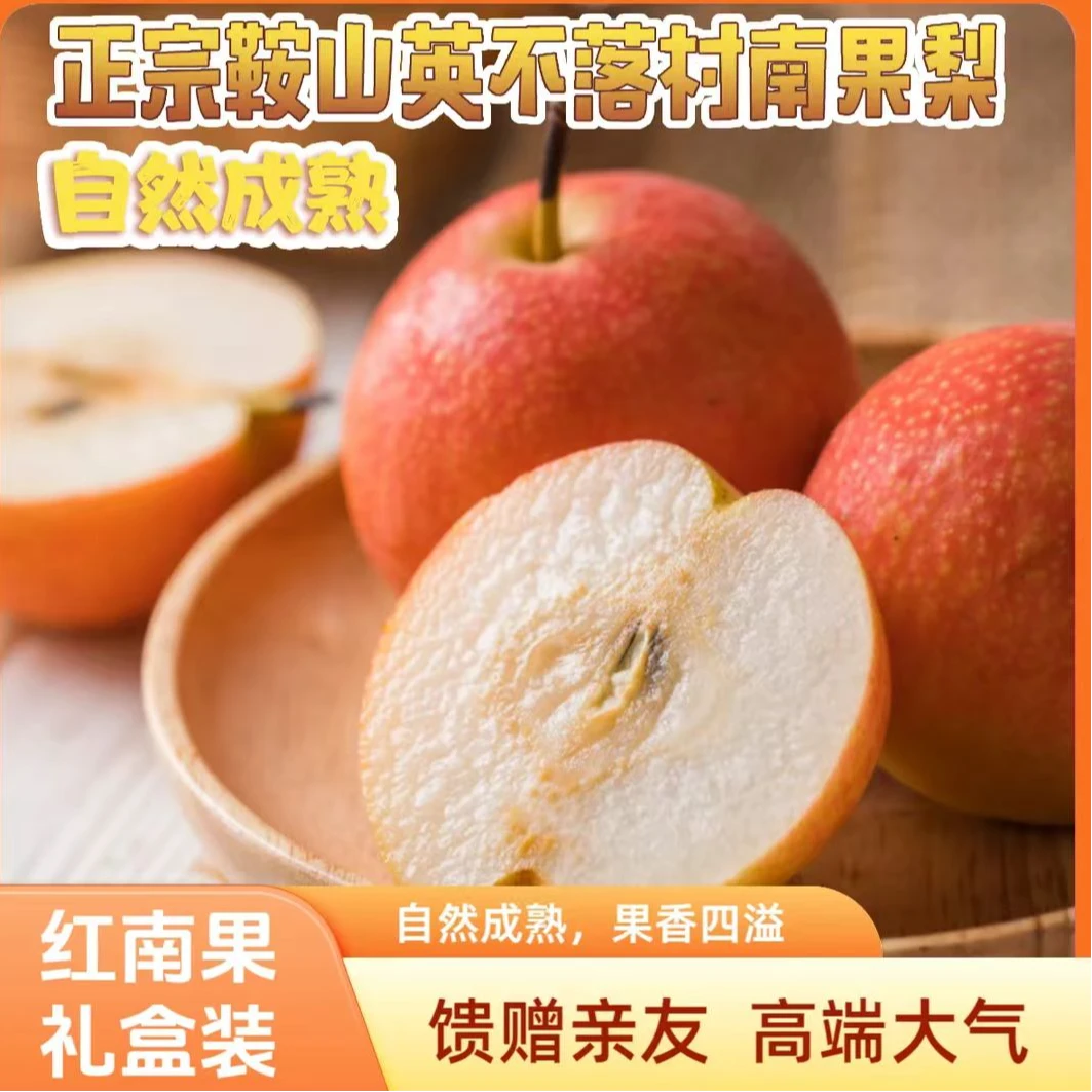 正宗鞍山英不落精品红南果梨新鲜水果礼盒装酸甜