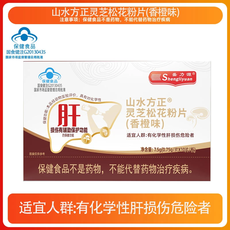 盛力源山水方正灵芝片(香橙味）-J