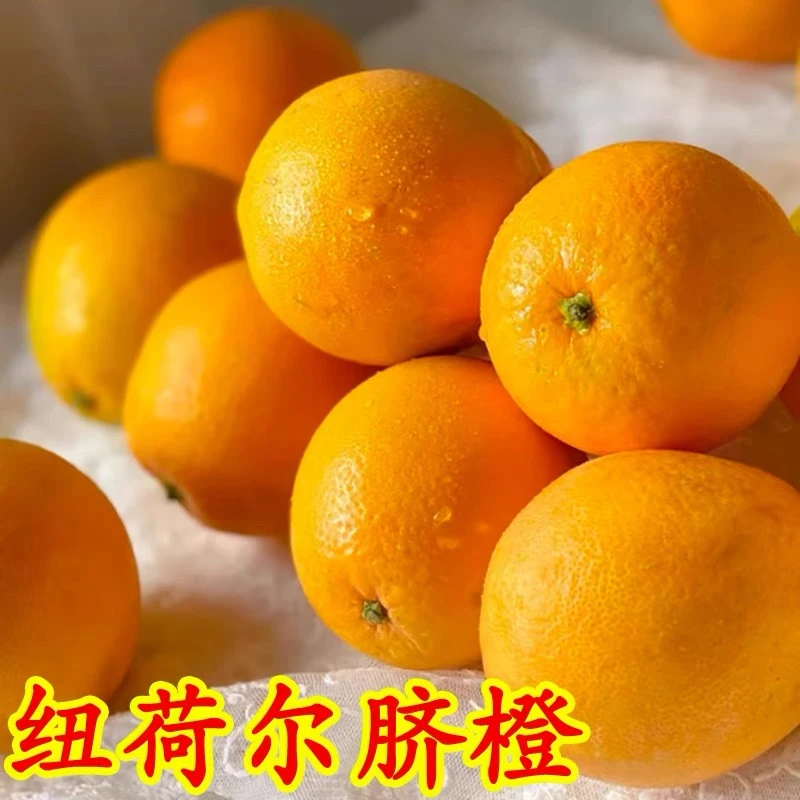 【新鲜脐橙】汁多 纯甜5个装