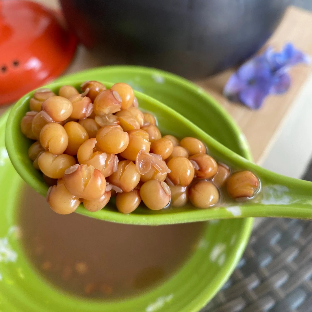 白沙木豆可煲汤食用柳豆树豆绿化2斤