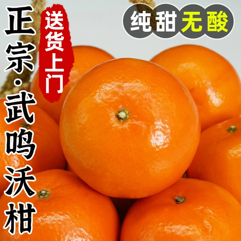 广西武鸣沃柑当季新鲜正宗精品香甜采摘多汁健康甜度肉质爽口5斤