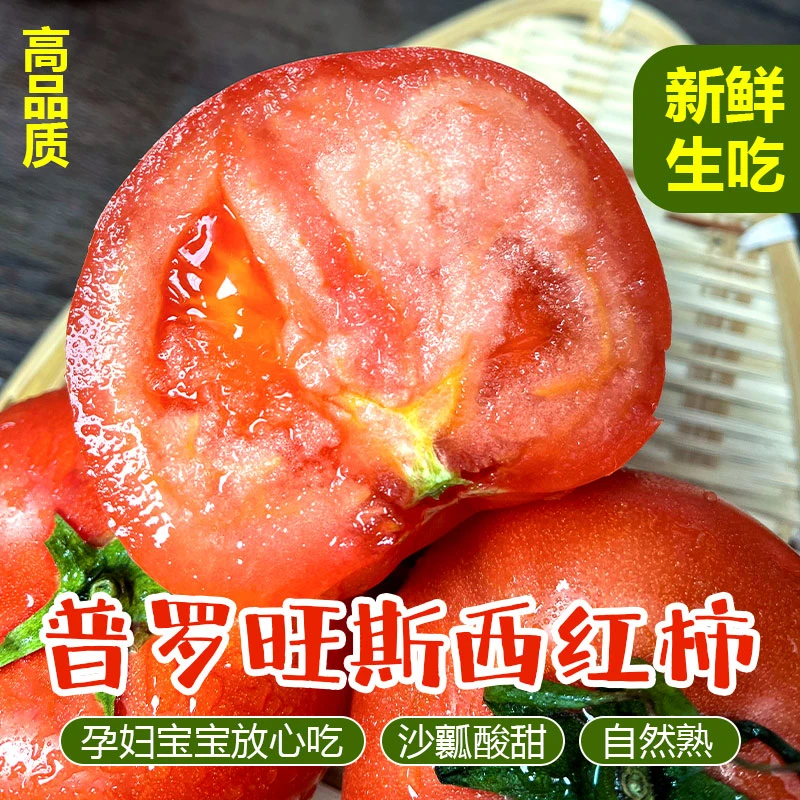 陕西泾阳沙瓤普罗旺斯水果露天生吃酸甜多汁番茄新鲜当季3/5斤