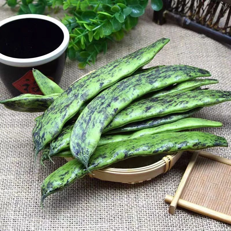 马掌豆角 东北现摘现发