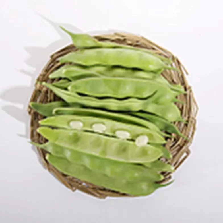 东北油豆，九月青豆角