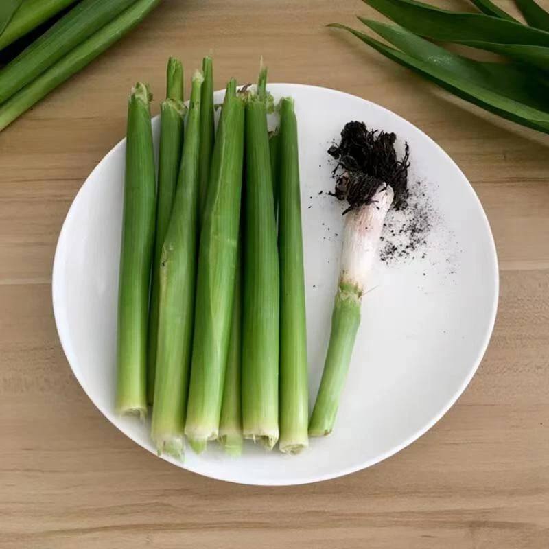 东北乌米 新鲜发货
