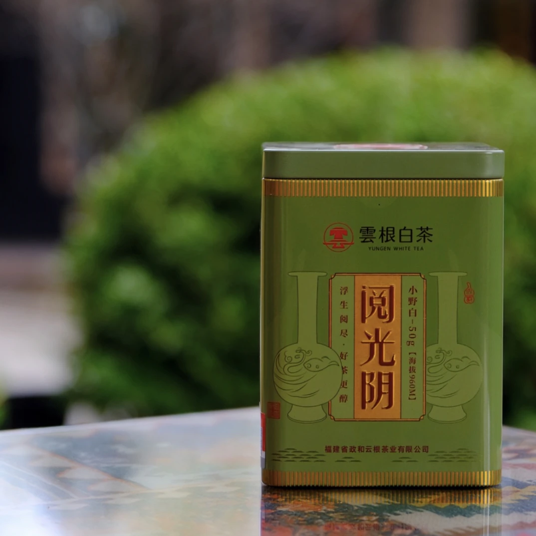 2023白茶 贡眉 荒野白茶 阅光阴 小野白 政和高山白茶