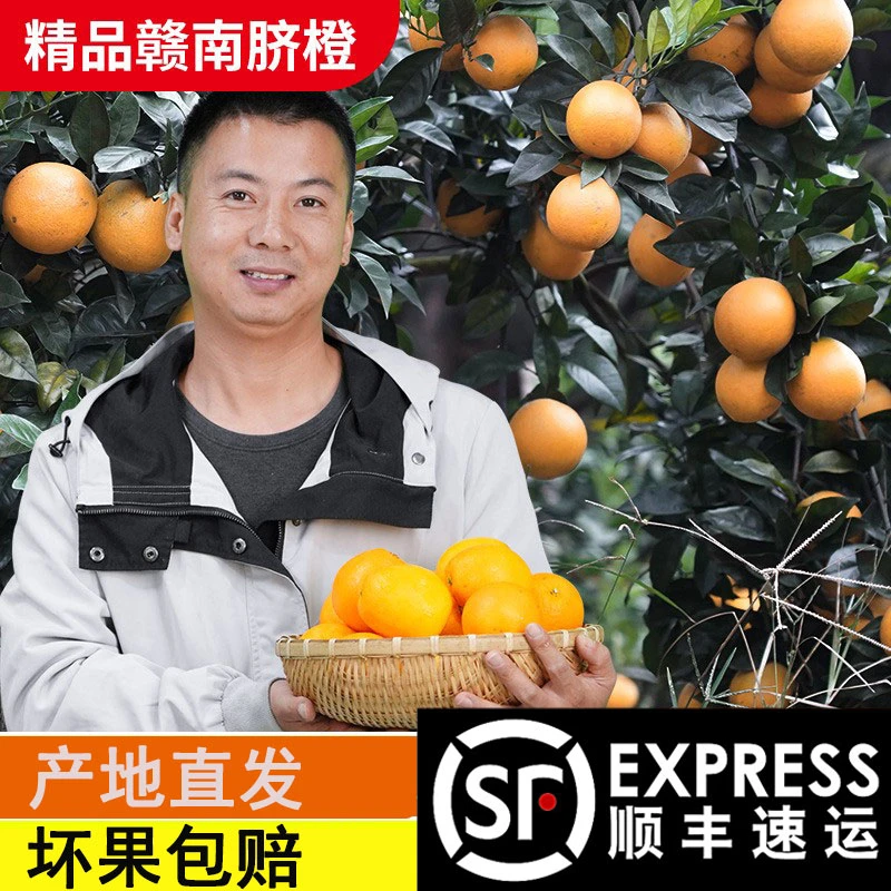 华农兄弟正宗赣南脐橙4.5斤9斤装江西橙子产地顺丰直发新鲜水果