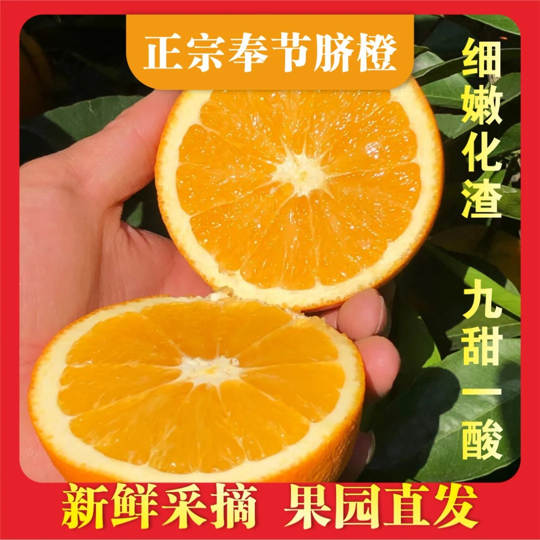 正宗重庆奉节脐橙纽荷尔香甜无核酸甜种植新鲜农家严选5/10/20斤