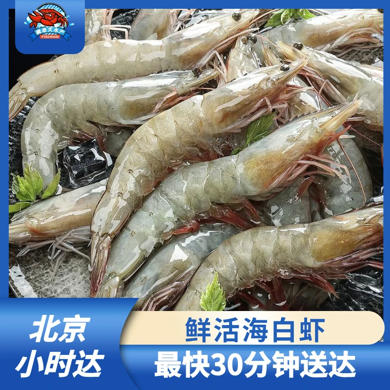 【鲜活】海白虾 充氧打包发货（保鲜不保全活）
