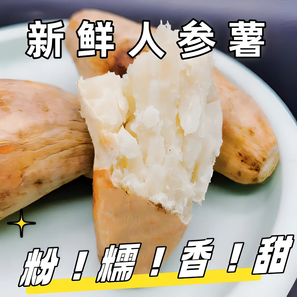 湛江人参薯粉糯现挖现发香甜牛奶红薯健康美味地瓜营养新鲜种植
