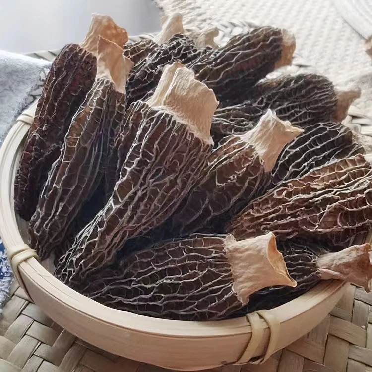 云南高原羊肚菌7-9cm长度头茬肉厚羊肚菌50-250克新货精品山珍