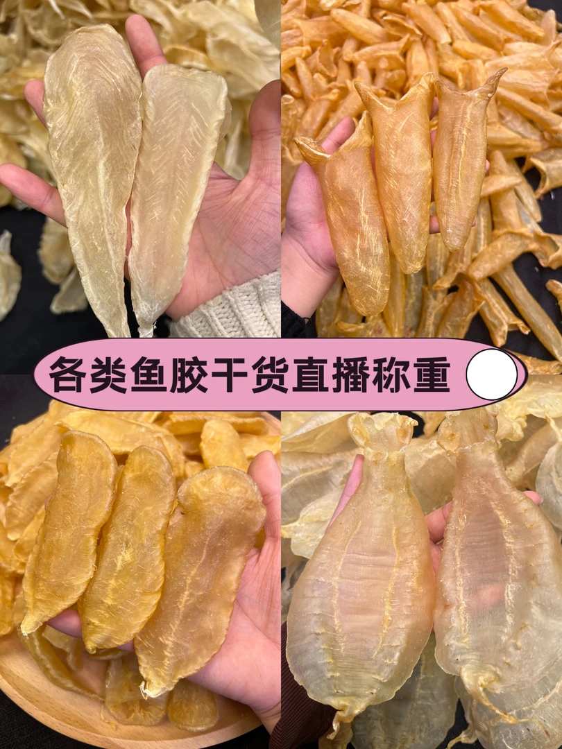 【美记】路尾巴  现场称重鱼胶花胶煲汤滋补好物